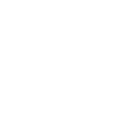 Tesla logo