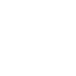 XPeng logo